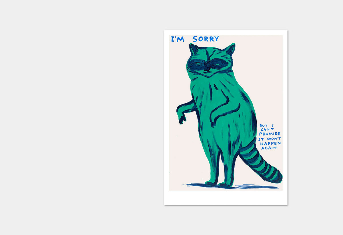 I'm Sorry Racoon Postcard, David shrigley, Shrig shop