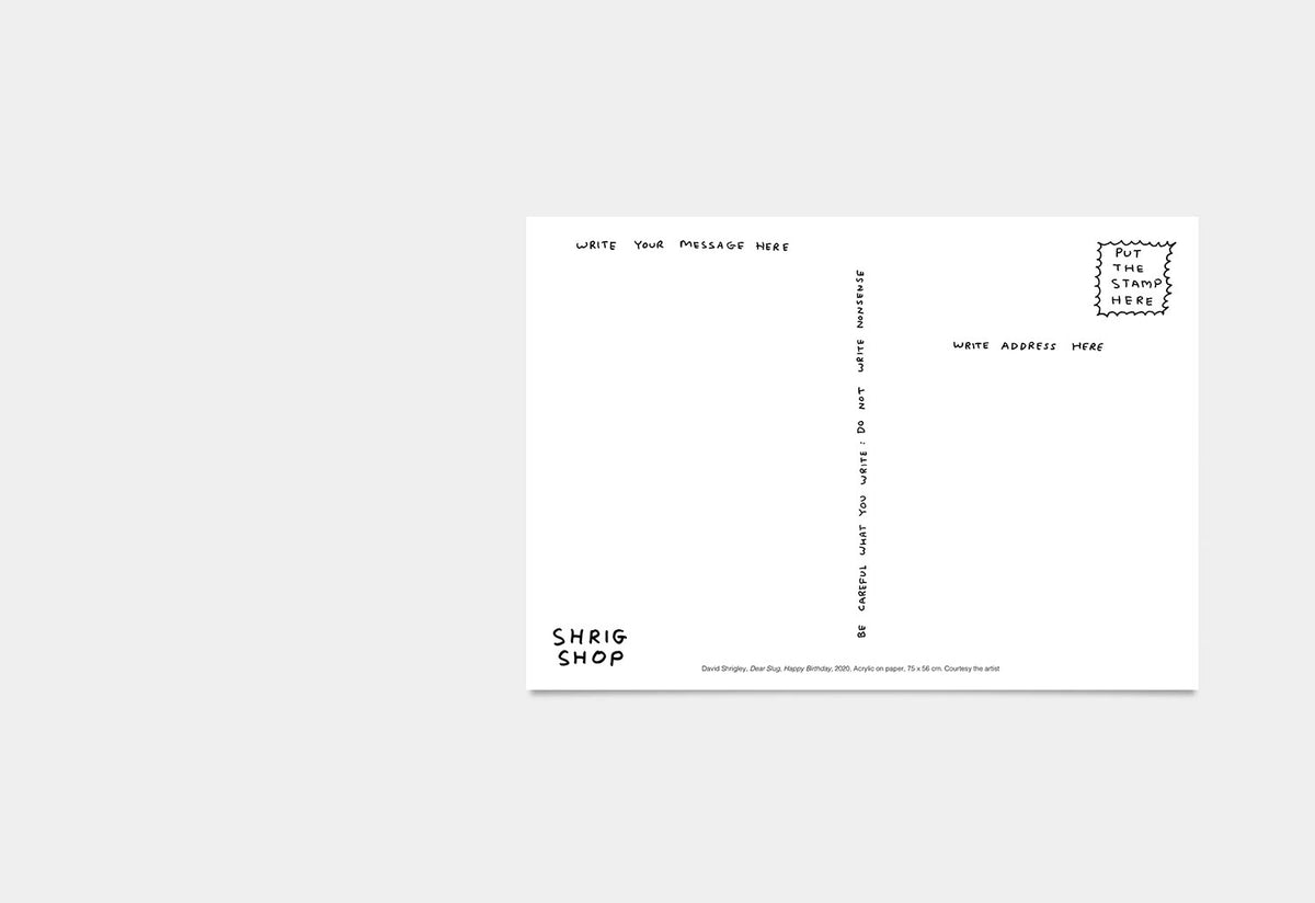 Dear Slug, Happy Birthday Postcard, David shrigley, Shrig shop