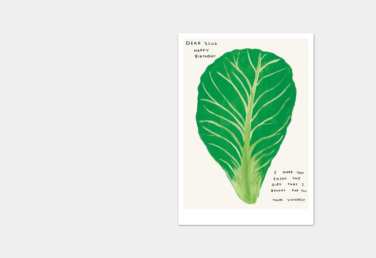 Dear Slug, Happy Birthday Postcard, David shrigley, Shrig shop