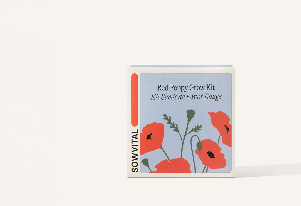 Seed Grow Kit, Sowvital
