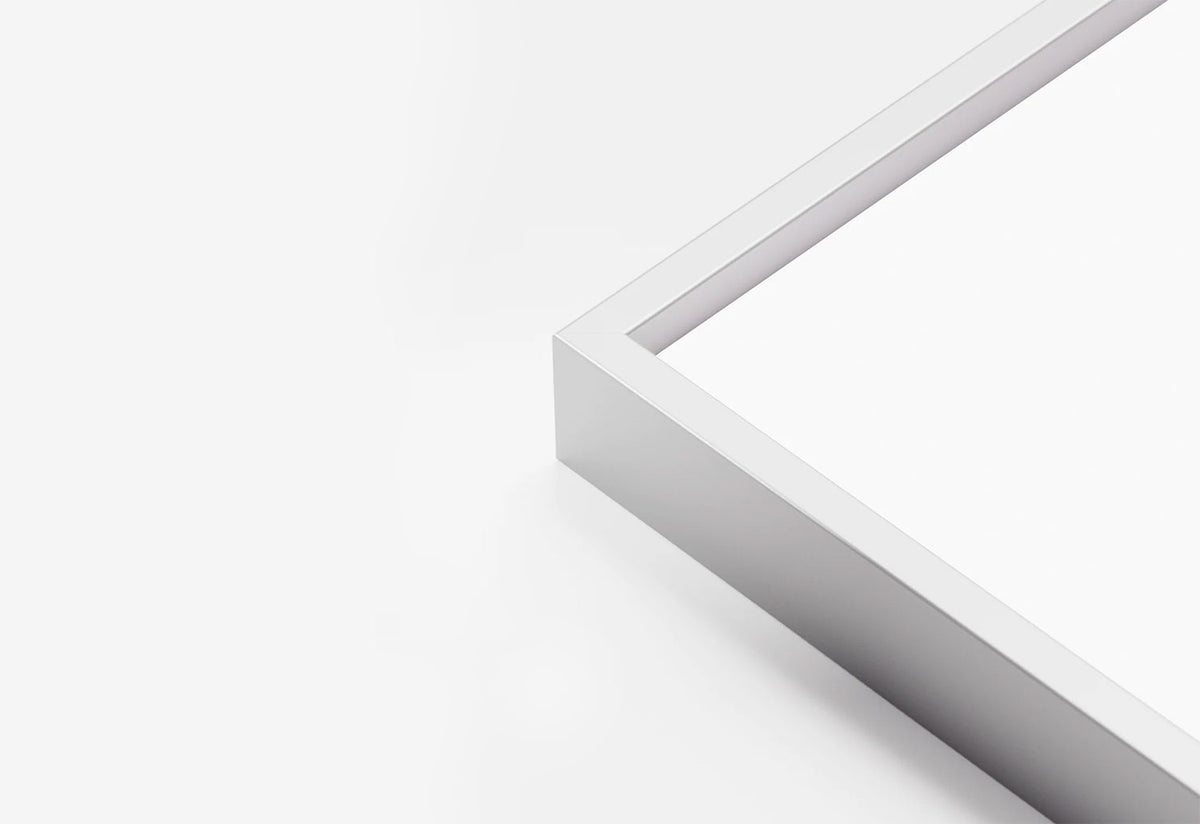 Self Assembly Frame, The wrong shop