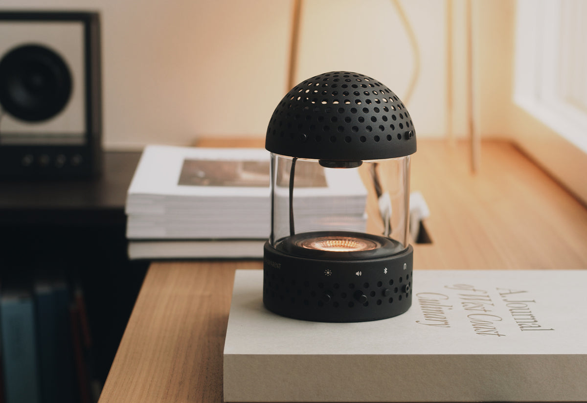 Light Speaker, Transparent