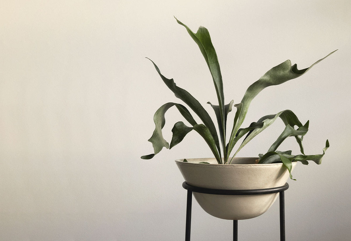 Daiza Planter, Audo copenhagen