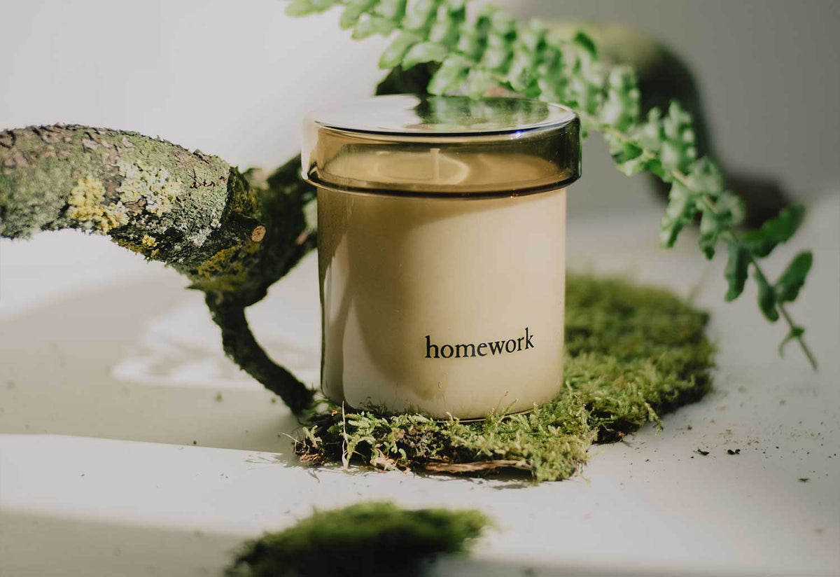 Wood Candle, Homework