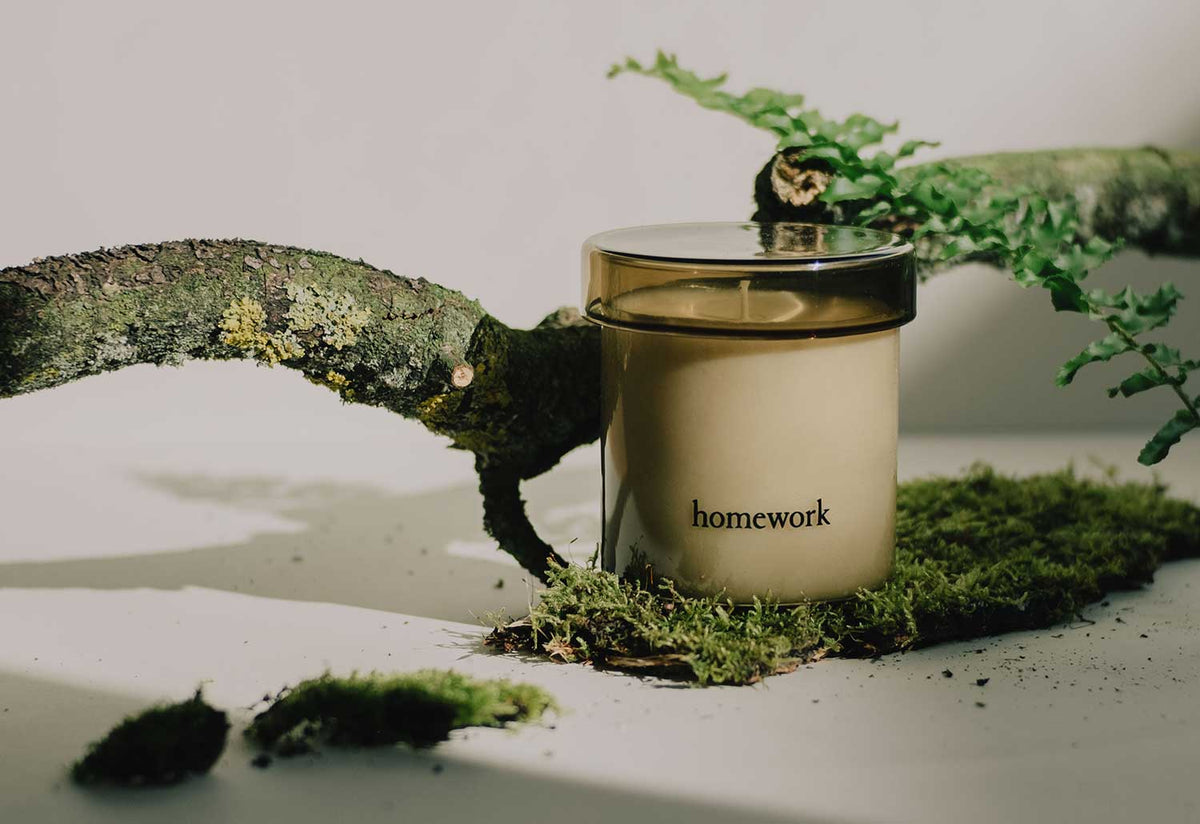 Wood Candle, Homework