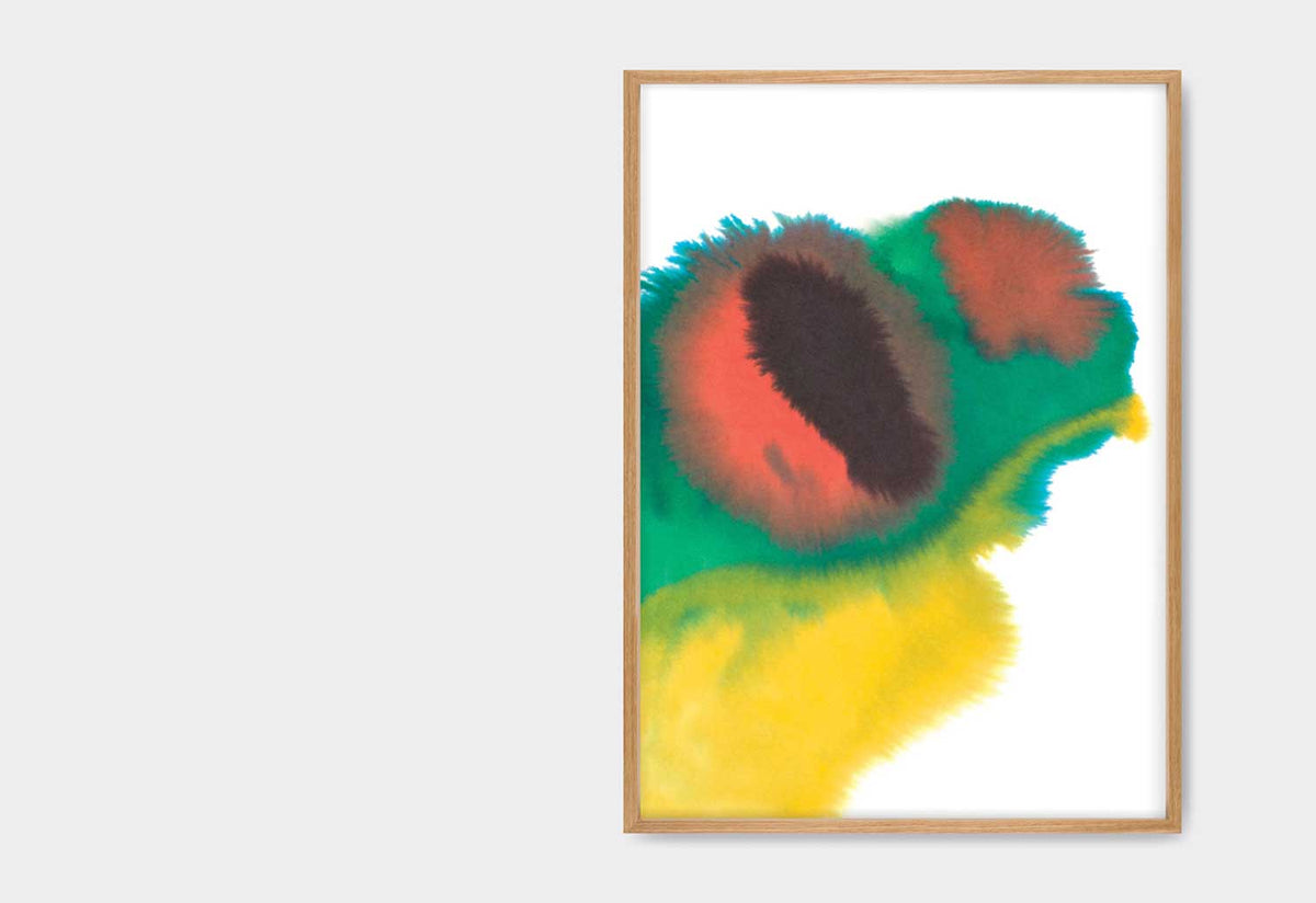 Frog Poster, Rop van mierlo, The wrong shop