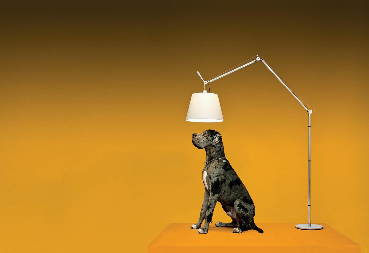 Tolomeo Mega Terra, De lucchi and fassina, Artemide