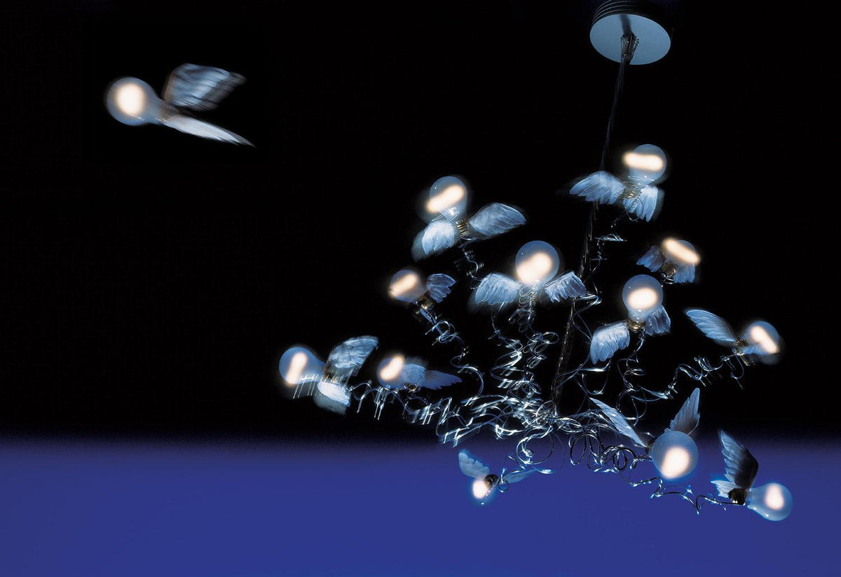 Birdie pendant light, 2002, Ingo maurer, Ingo maurer