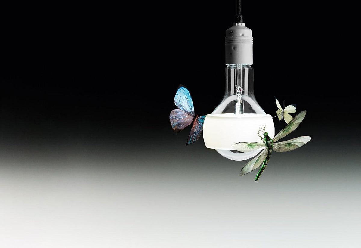 Johnny B Butterfly Pendant, Ingo maurer, Ingo maurer