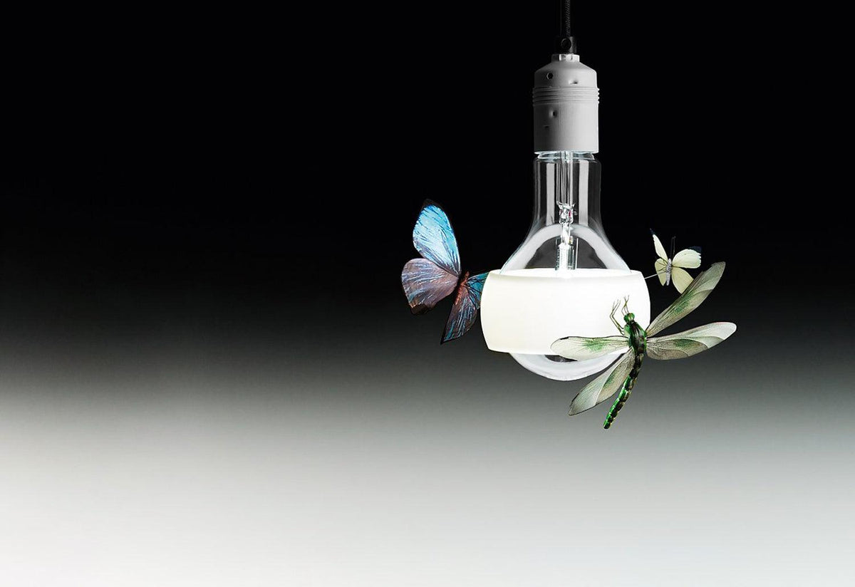 Johnny B Butterfly light, 2011, Ingo maurer, Ingo maurer