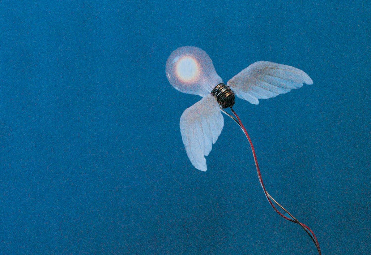 Lucellino Table Lamp, Ingo maurer, Ingo maurer