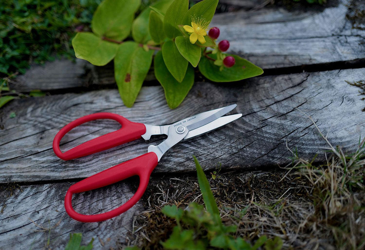 Utility Scissors, Niwaki