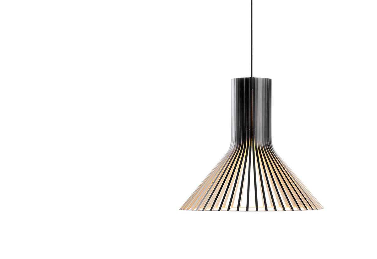 Puncto 4203 Pendant, Seppo koho, Secto