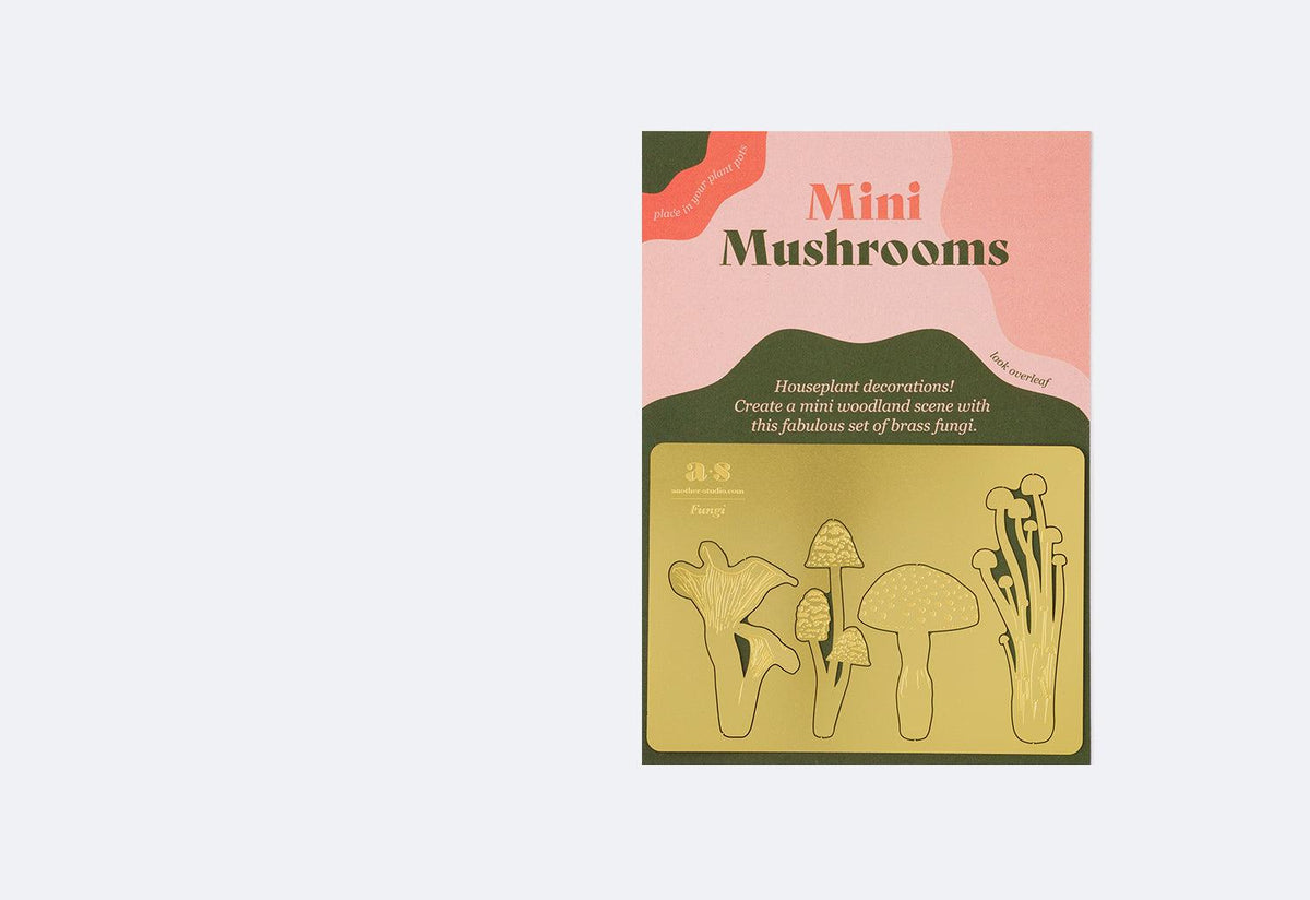 Mini Plant Mushrooms, 2018, Another studio