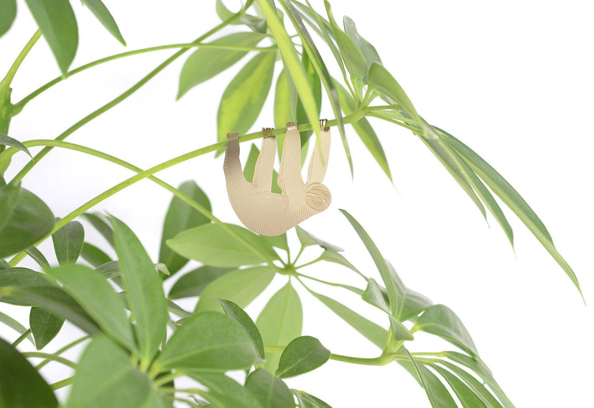 Plant Animals, Another studio