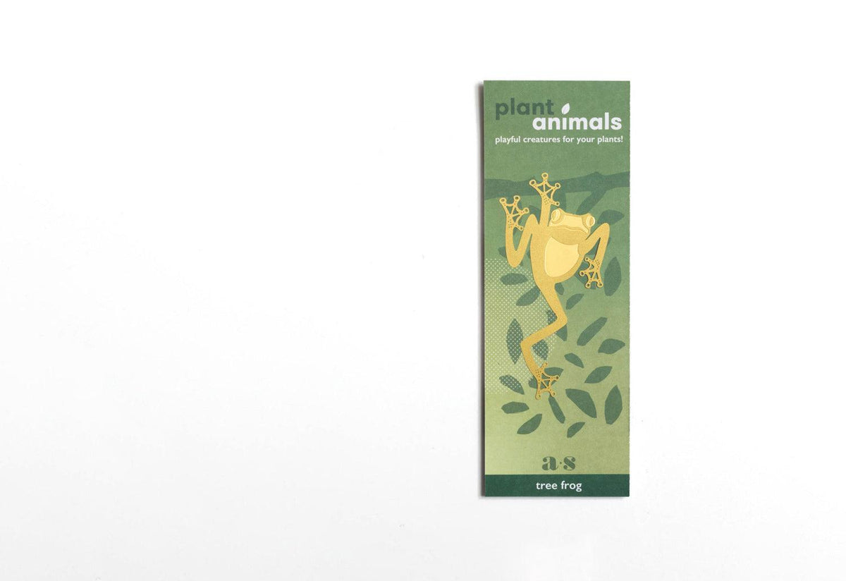 Plant Animals, Another studio