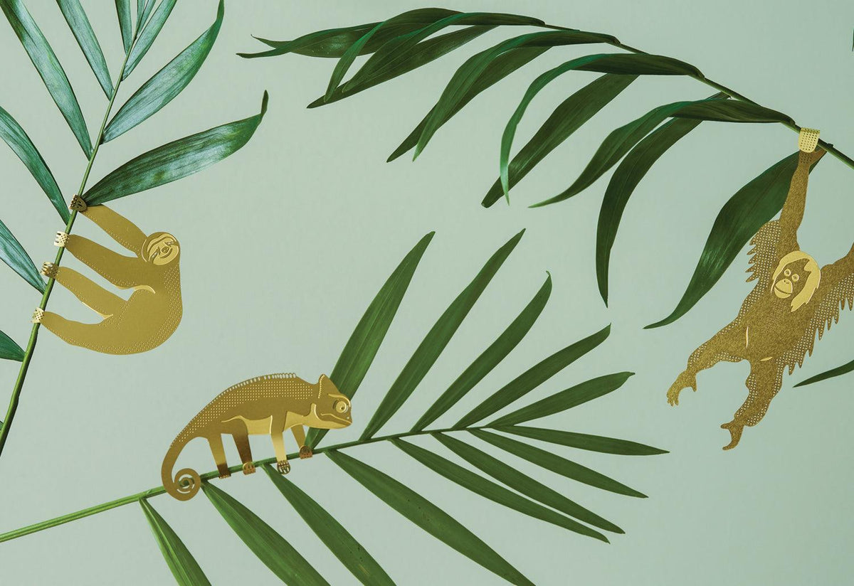 Plant Animals, Another studio