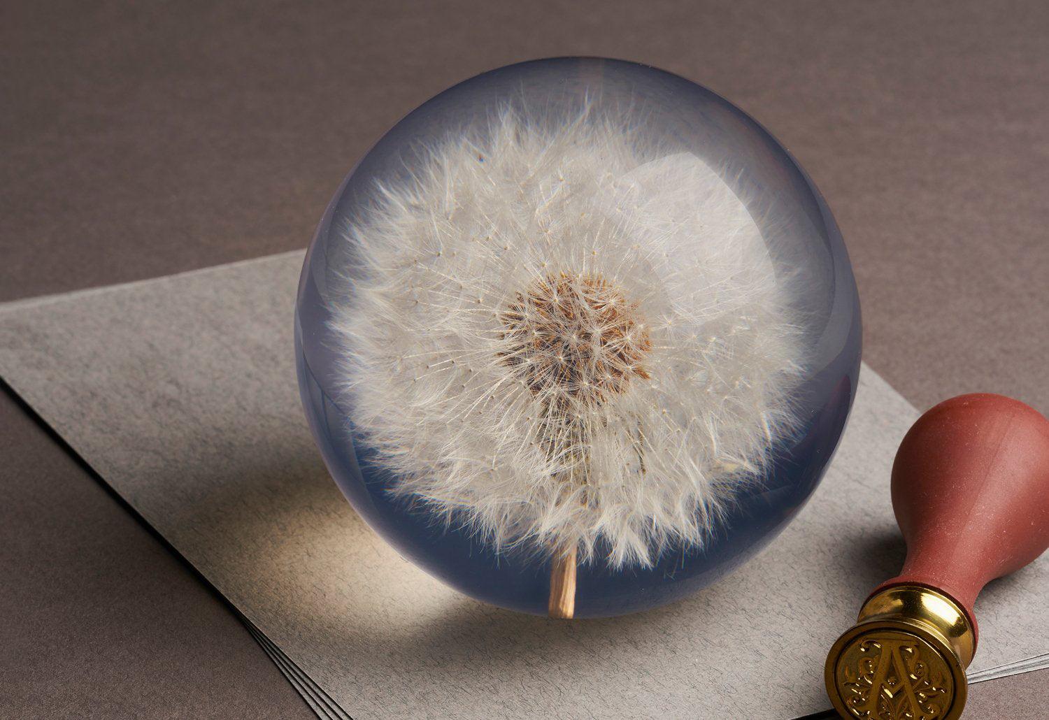 Hafod Grange Dandelion paperweight twentytwentyone