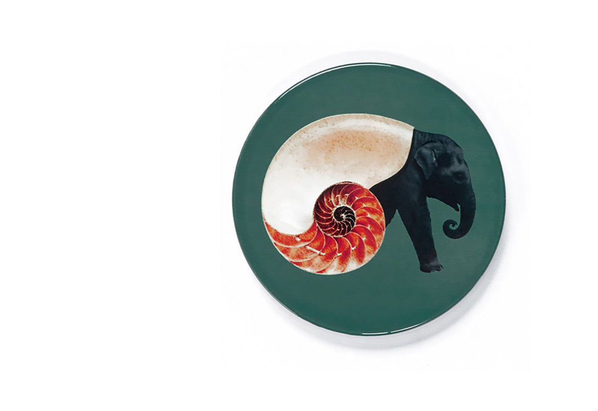 Shellephant Coasters, Gangzai