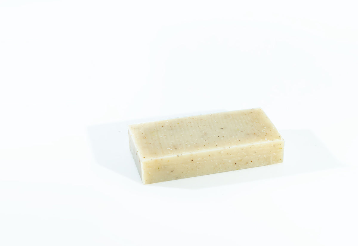 Exfoliating Seaweed Block, Haeckels