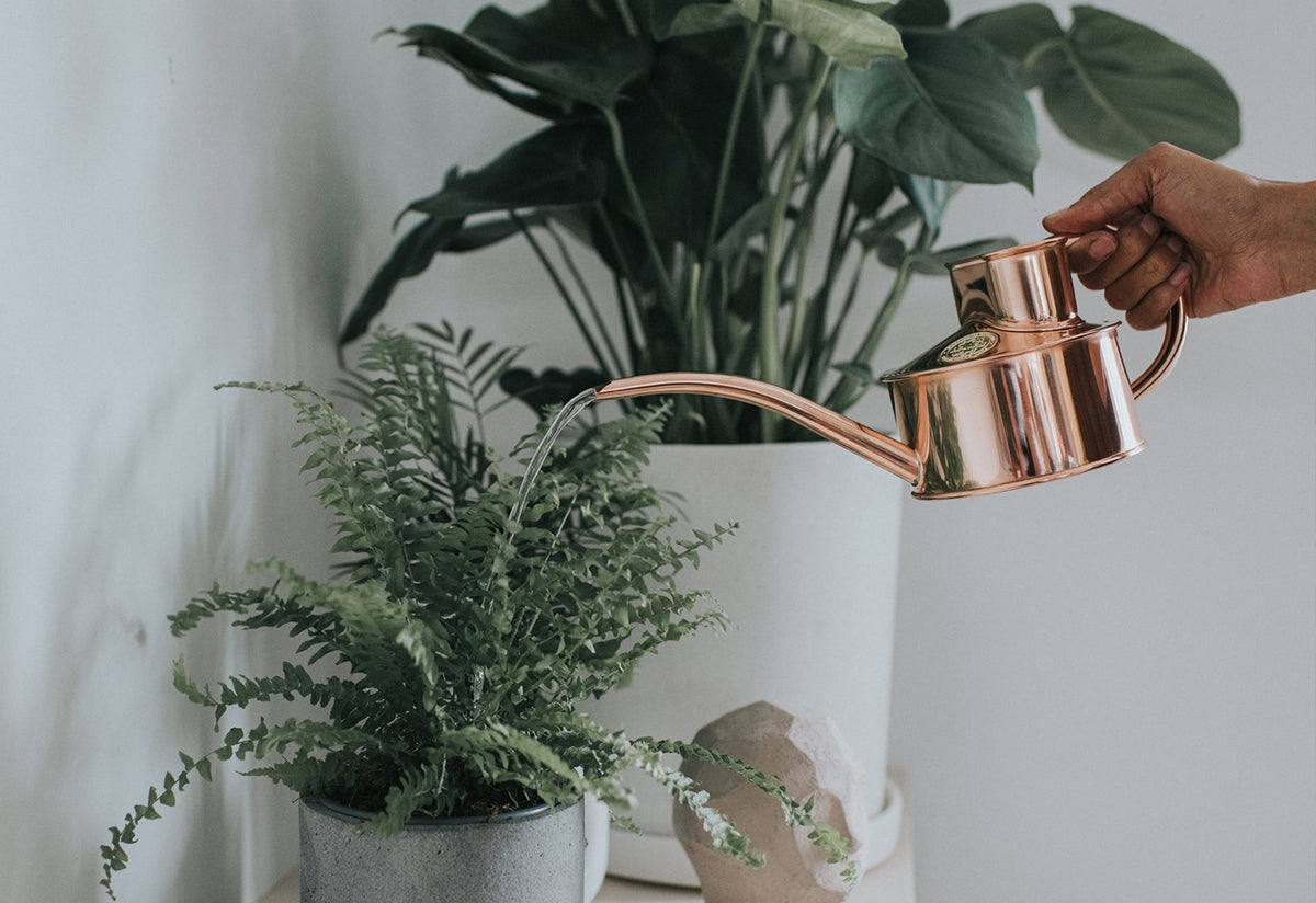 Fazeley Flow copper watering can, Haws