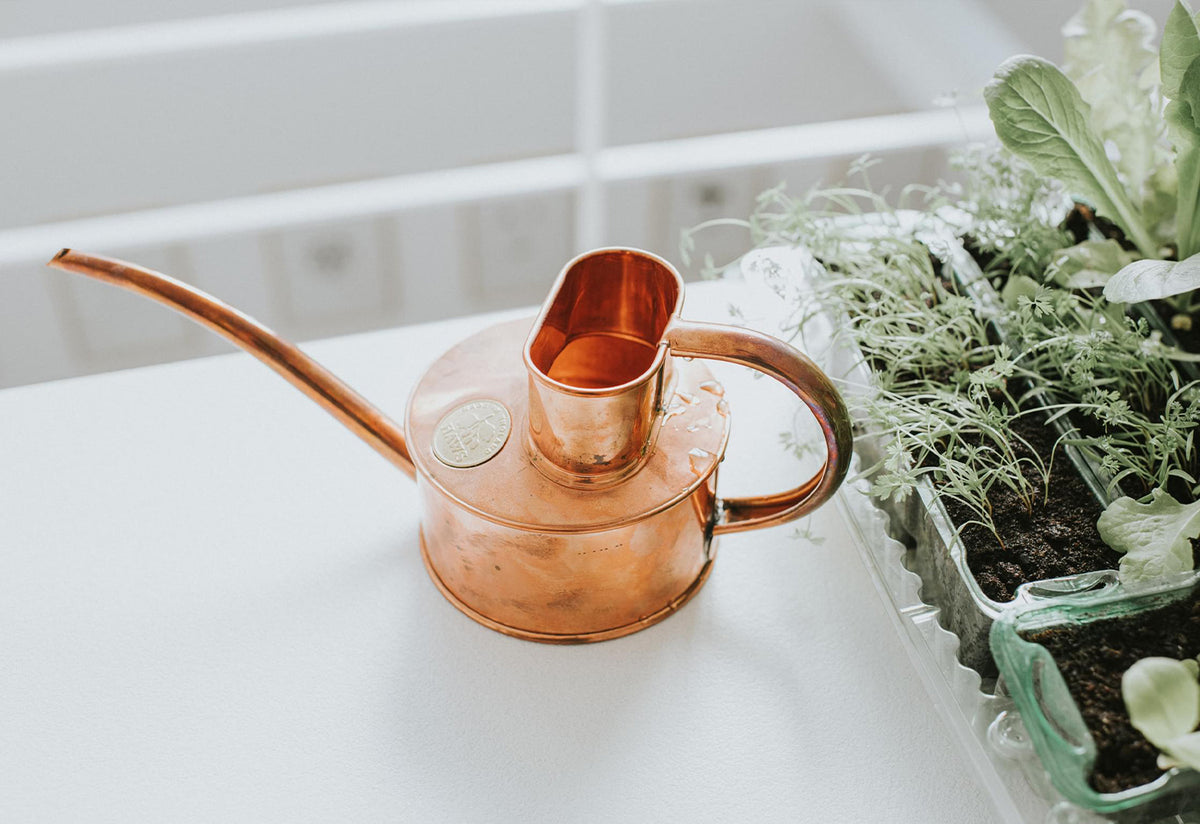 Fazeley Flow copper watering can, Haws