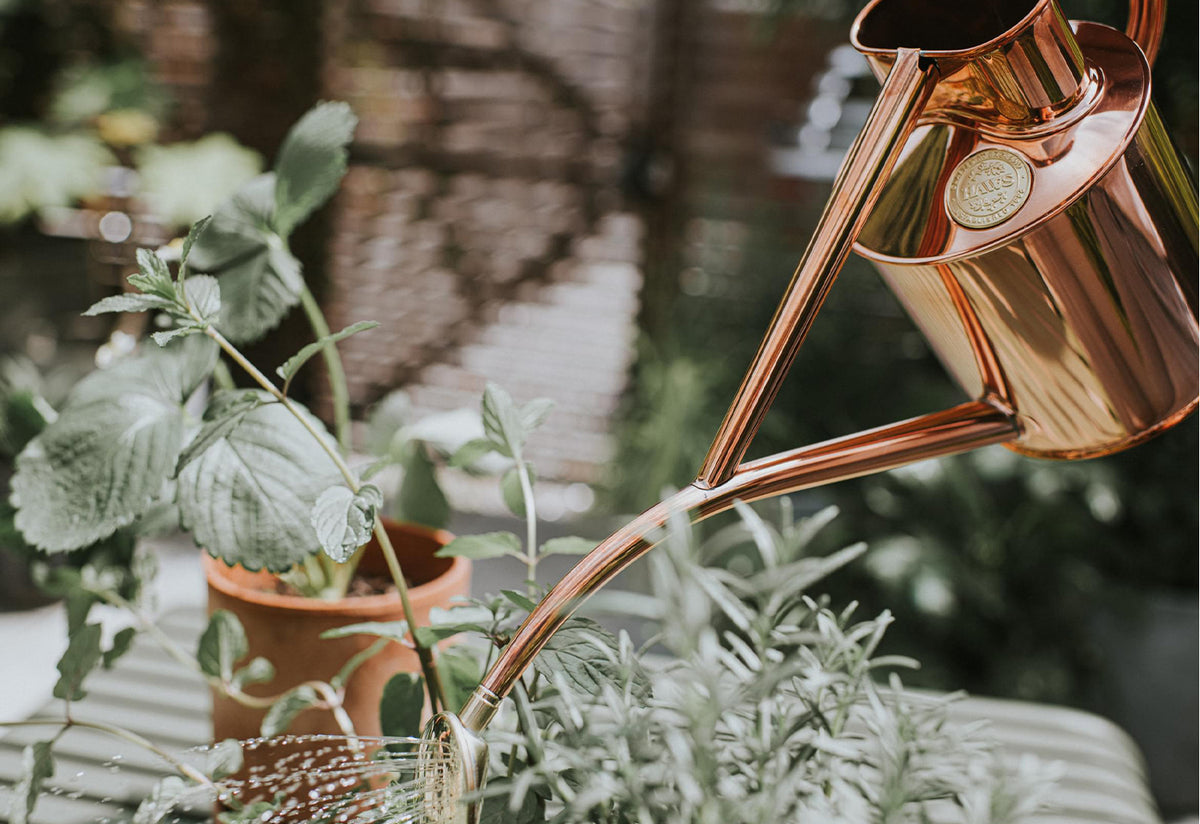 Rowley Ripple copper watering can, Haws