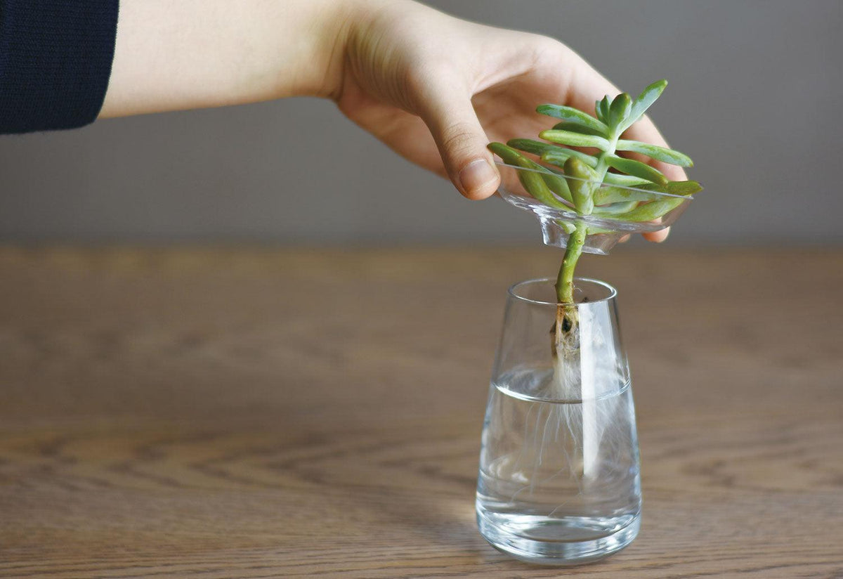 Aqua Culture Vase, Kinto