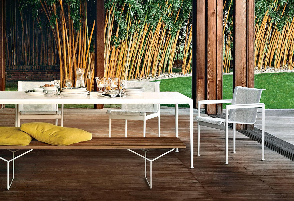 1966 Dining Armchair, Richard schultz, Knoll