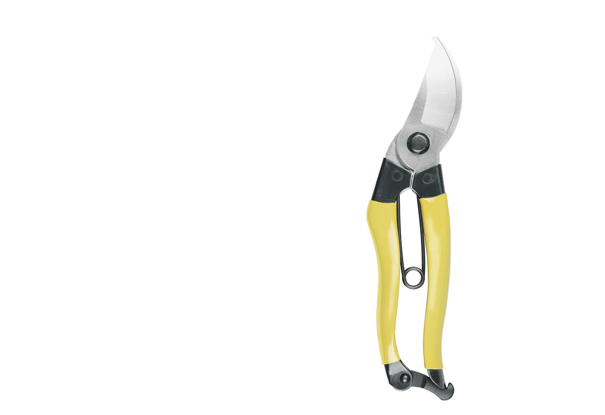 Mainichi Secateurs, Niwaki