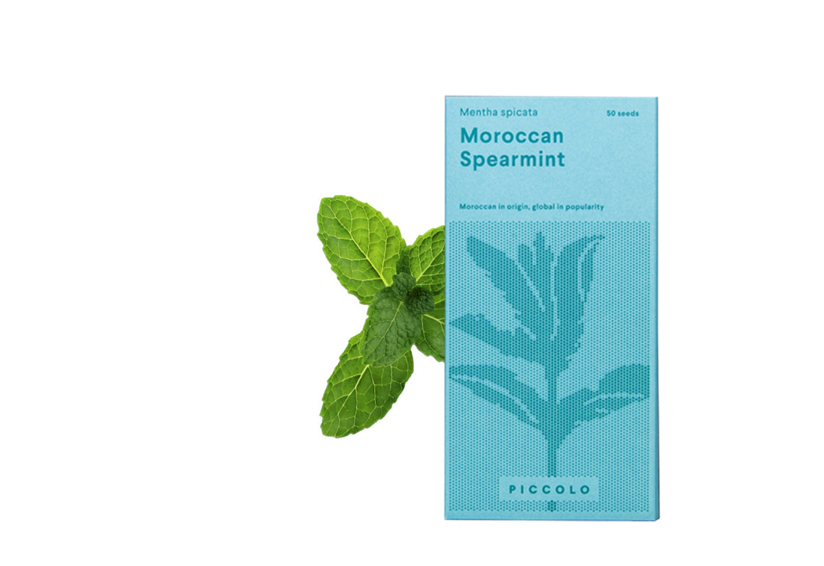 Piccolo Cocktail Herb Seed Collection, Piccolo