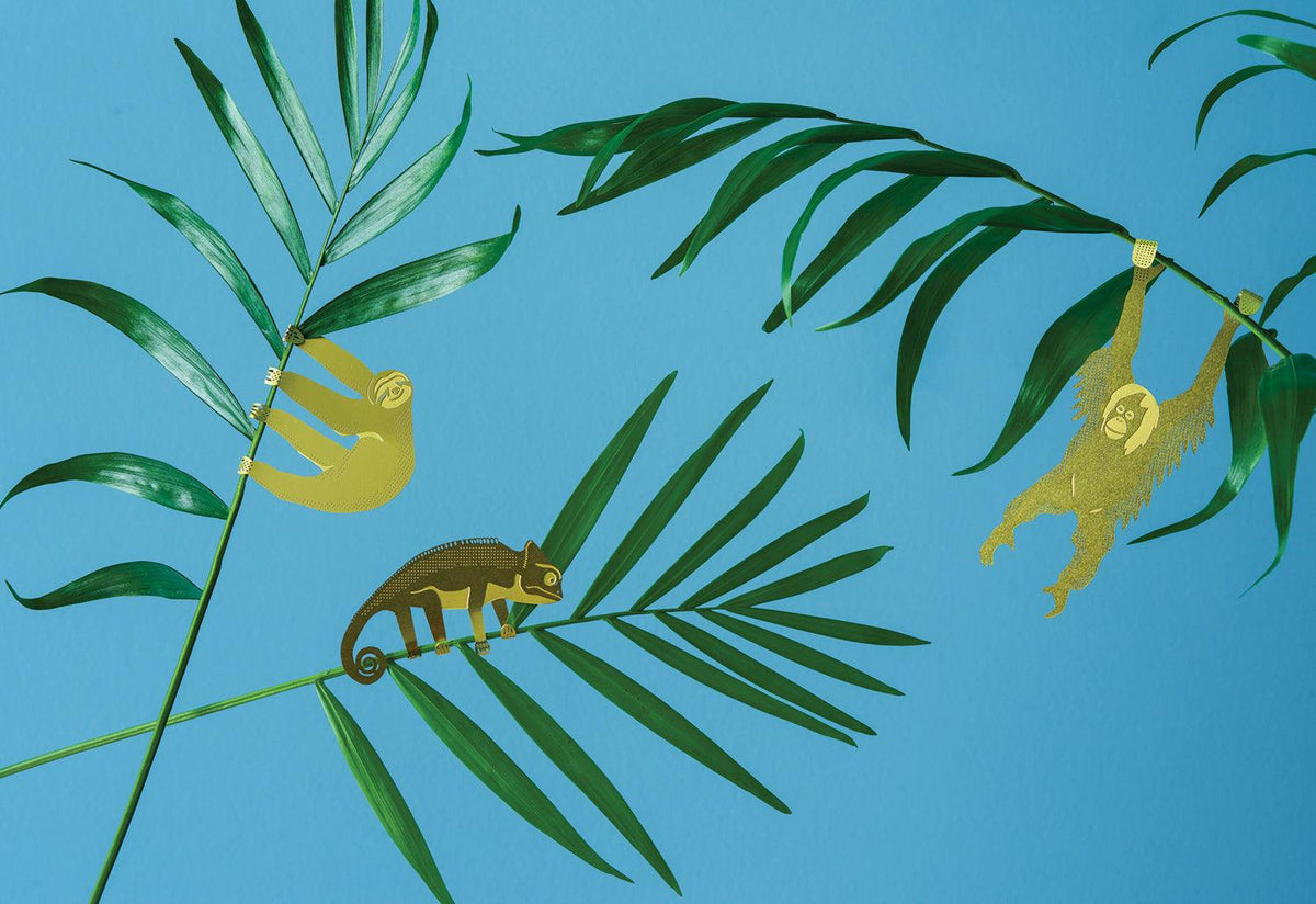 Plant Animals, Another studio