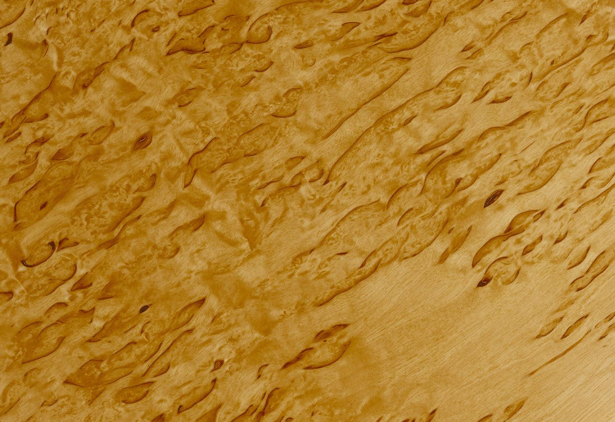Stool 60 Karelian Birch | Special Edition, Alvar aalto, Artek