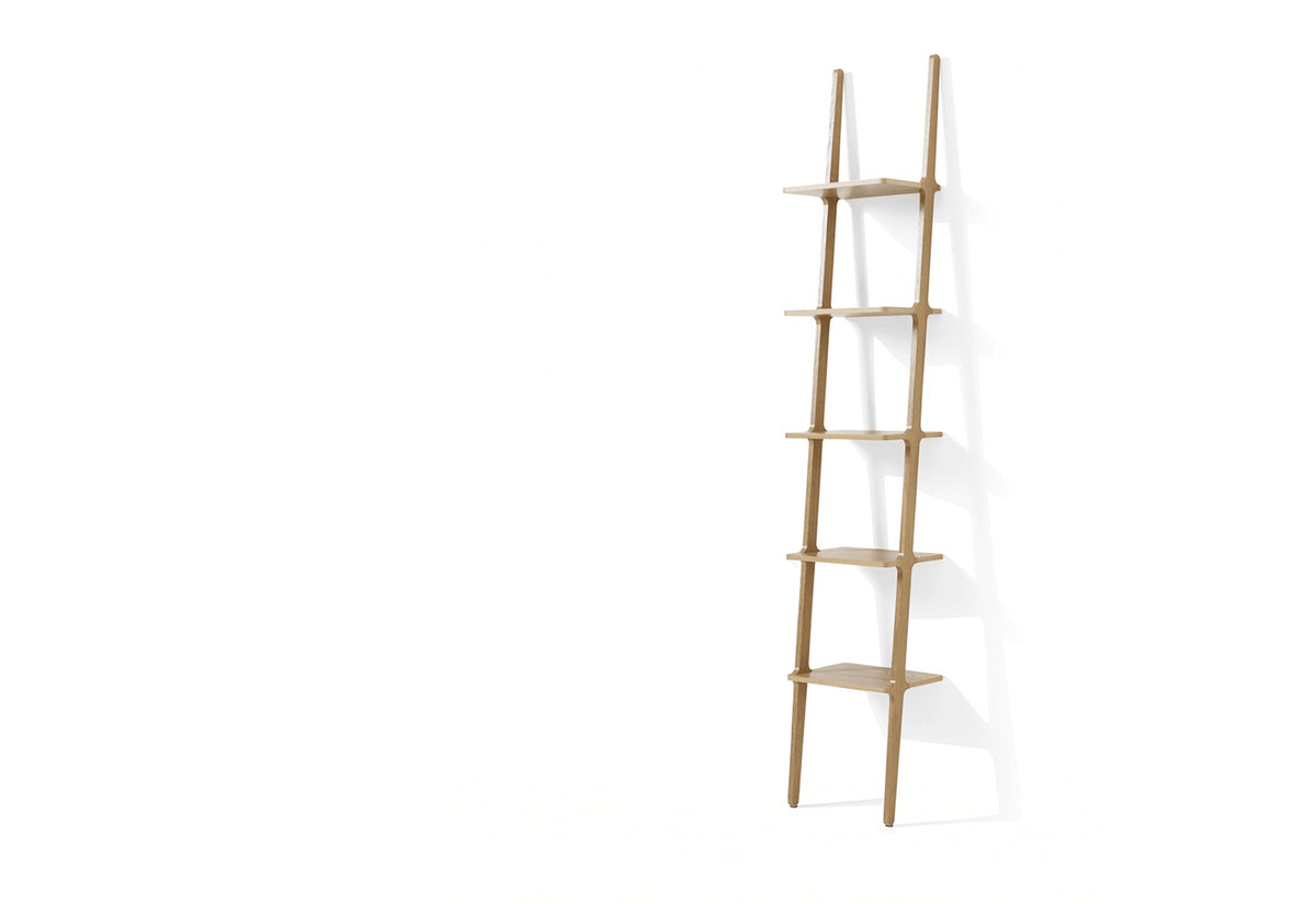 Libri shelves, 2008, Michael bihain, Swedese