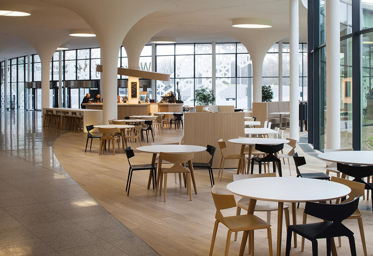 Saya Dining Chair, Lievore altherr molina, Arper