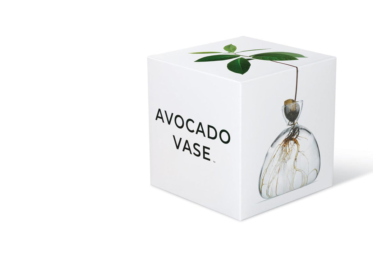 Avocado Vase, Ilex studio