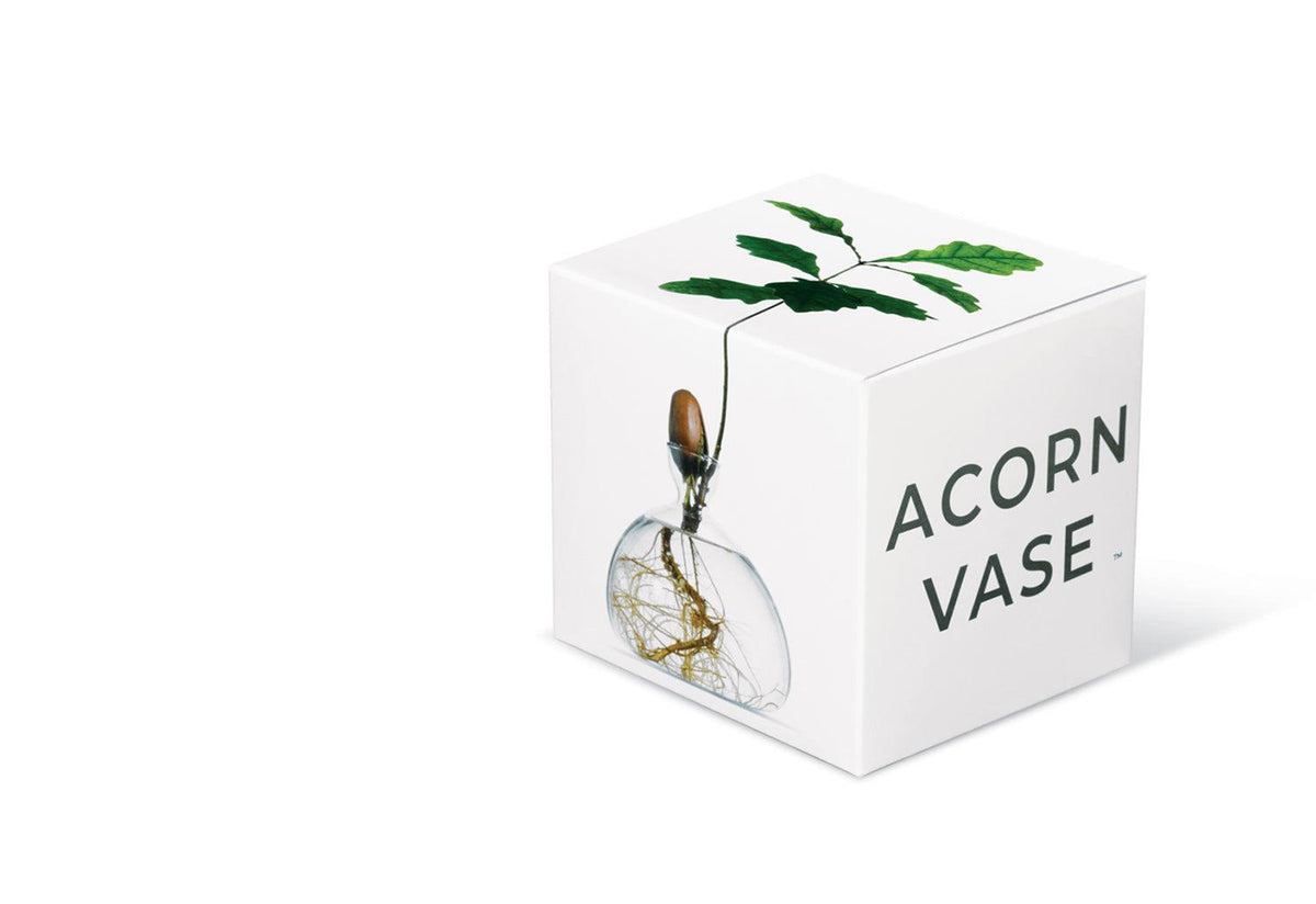 Acorn vase, Ilex studio