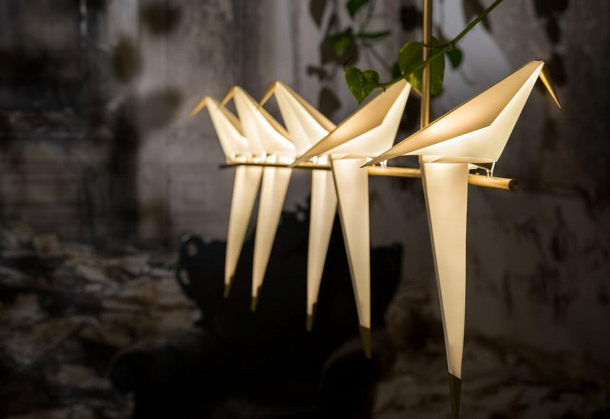 Perch Branch Pendant Light, Umut yamac, Moooi