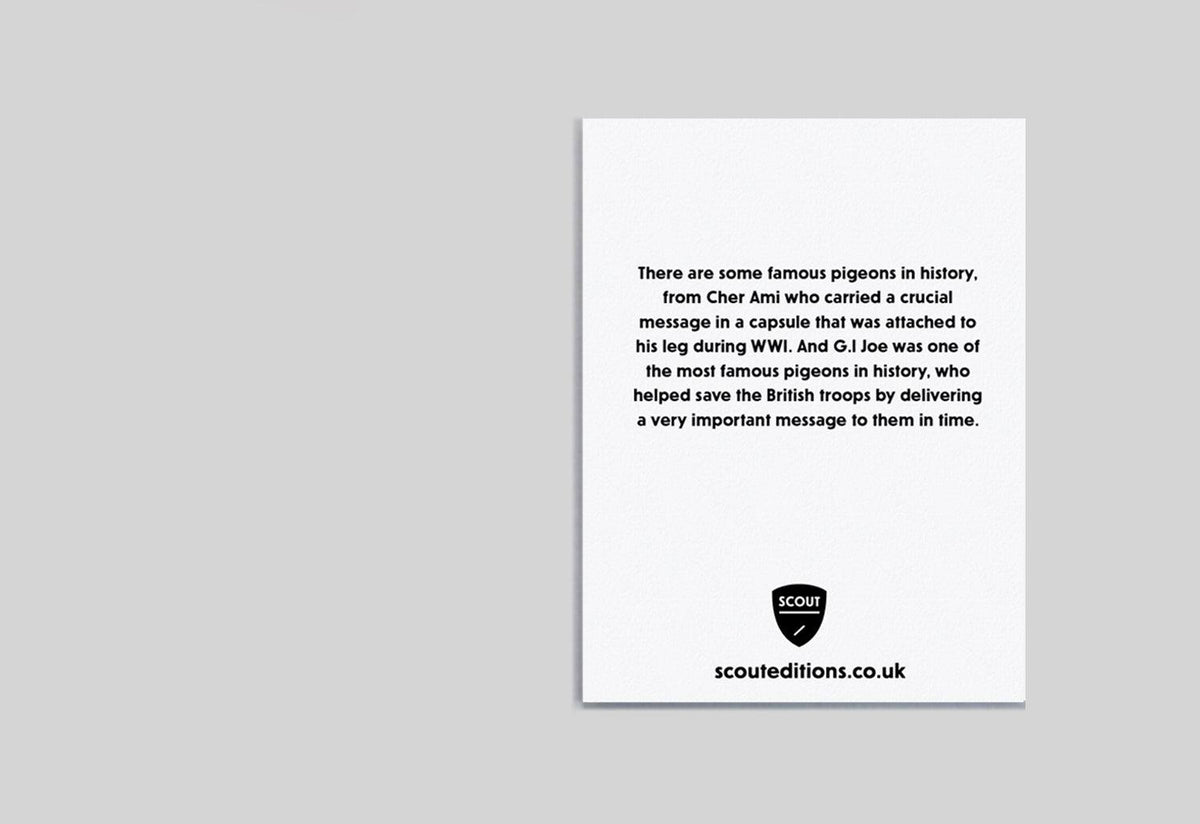 Pigeon Mini Card, Scout editions