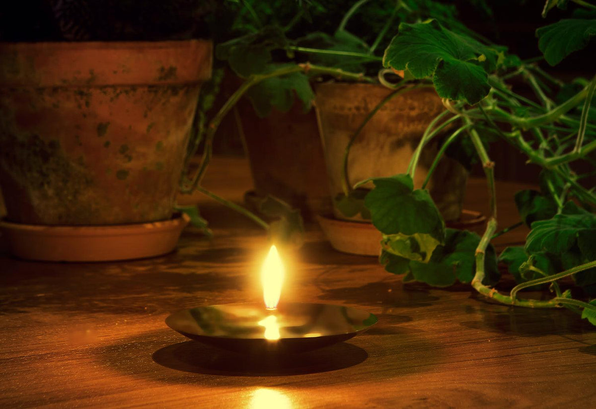 Holocene No. 1 Oil Lamp, Ilse crawford, Wastberg