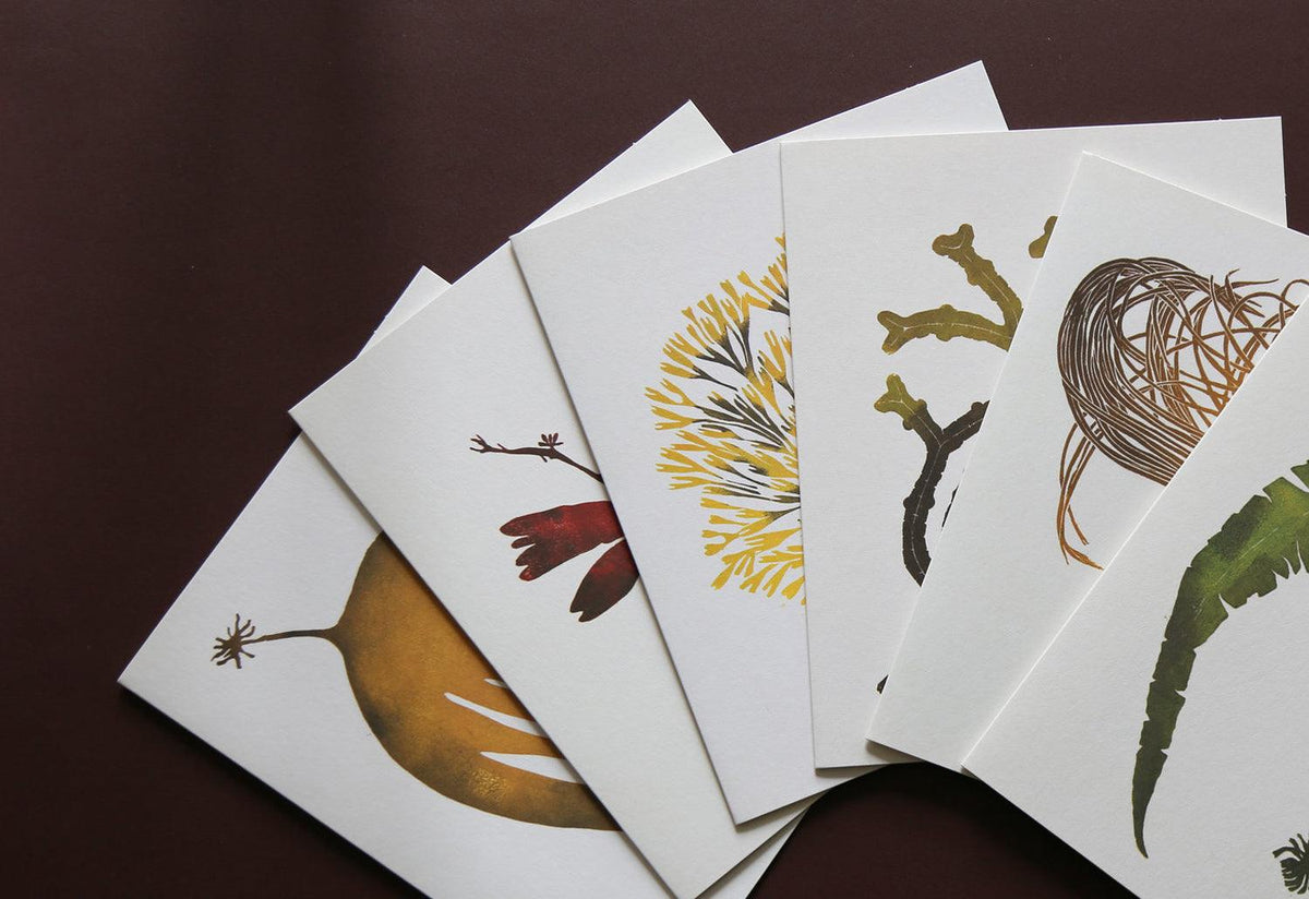 Wild Sea Notecards, Superfolk, Superfolk